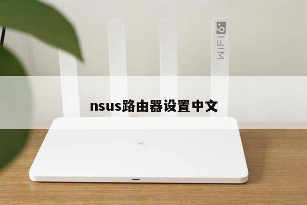 nsus路由器设置中文